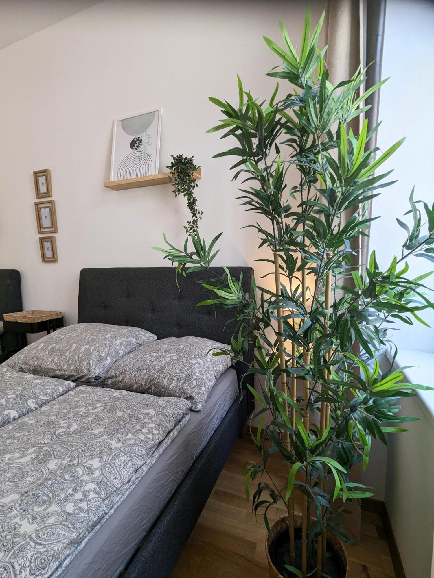 Renovated Studio - 10 Min To Center Wien Exterior foto
